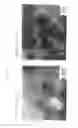 Fig. 02 - Magnetic metal powder and method of producing the powder