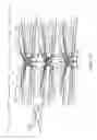 Fig. 10 - Restraint device for use in an aquatic environment