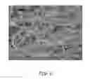 Fig. 06 - MEDIA FOR REMOVAL OF ORGANIC COMPOUNDS
