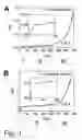 Fig. 02 - Plasma Reactor, and Method for the Production of Monocrystalline Diamond Layers