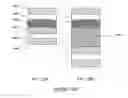 Fig. 33 - Methods and systems for plasma deposition and treatment