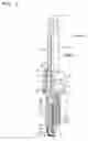 Fig. 02 - INSULATOR FOR SPARK PLUG, PROCESS FOR PRODUCING THE INSULATOR, SPARK PLUG, AND PROCESS FOR PRODUCING THE SPARK PLUG