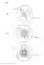 Fig. 07 - FUEL INJECTION CONTROL APPARATUS OF INTERNAL COMBUSTION ENGINE