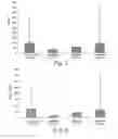 Fig. 04 - METHODS AND UNIT DOSE FORMULATIONS FOR THE INHALATION ADMINISTRATION OF AMINOGLYCOSIDE ANTIBIOTICS