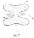 Fig. 22 - Pad for a mask