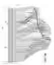 Fig. 05 - Hair addition