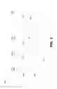 Fig. 04 - Gas transport delay resolution for short etch recipes