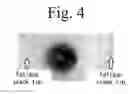 Fig. 05 - AUSTENITIC STAINLESS STEEL,  AND METHOD FOR REMOVING HYDROGEN THEREFROM