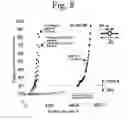Fig. 09 - AUSTENITIC STAINLESS STEEL,  AND METHOD FOR REMOVING HYDROGEN THEREFROM