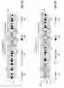 Fig. 03 - Water Sensitive Porous Medium to Control Downhole Water Production and Method Therefor
