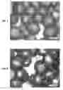 Fig. 06 - Water Sensitive Porous Medium to Control Downhole Water Production and Method Therefor