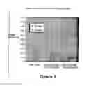 Fig. 03 - Method and composition for curing lost circulation