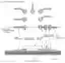 Fig. 01 - STRUCTURE OF A PACKAGE FOR ELECTRONIC DEVICES AND METHOD FOR MANUFACTURING THE PACKAGE
