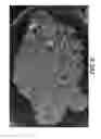 Fig. 06 - Delayed coking process