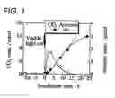 Fig. 02 - Photocatalyst material, method for decomposition of organic material, interior member, air purification device, and apparatus for preparation of oxidizing agent