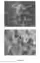 Fig. 136 - Continuous methods for treating liquids and manufacturing certain constituents (e.g., nanoparticles) in liquids, apparatuses and nanoparticles and nanoparticle/liquid solution(s) resulting therefrom