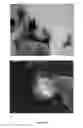 Fig. 137 - Continuous methods for treating liquids and manufacturing certain constituents (e.g., nanoparticles) in liquids, apparatuses and nanoparticles and nanoparticle/liquid solution(s) resulting therefrom