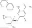 Fig. 161 - Inhibitors of JAK