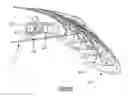 Fig. 04 - Actuator arrangement