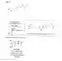 Fig. 06 - POLYMER COATED INORGANIC FINE PARTICLE AND METHOD FOR PREPARING THE SAME