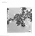 Fig. 09 - POLYMER COATED INORGANIC FINE PARTICLE AND METHOD FOR PREPARING THE SAME