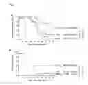 Fig. 03 - USE OF AN OZONE/OXYGEN MIXTURE AS PRIMARY ANTICANCER THERAPY THROUGH INTRAPERITONEAL INSUFFLATION