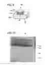 Fig. 05 - Quantum-dot device and position-controlled quantum-dot-fabrication method