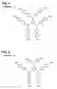 Fig. 03 - Organic luminescent device and manufacturing method thereof