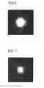 Fig. 04 - Lighting Device