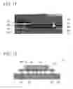 Fig. 07 - Electronic device and manufacturing method therefor
