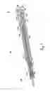 Fig. 12 - Multiple brand ice beverage dispenser