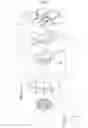Fig. 04 - Jumping toy top