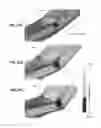 Fig. 22 - Frame structure for vehicle