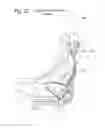 Fig. 27 - BACK SUPPORT SYSTEM AND METHOD FOR IMPROVING THE SAME