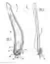 Fig. 04 - Vehicle seat