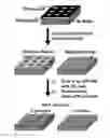 Fig. 01 - Method for fabricating nano-scale patterned surfaces