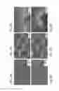 Fig. 03 - Method for fabricating nano-scale patterned surfaces