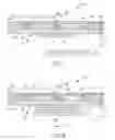 Fig. 07 - System for testing an integrated circuit of a device and its method of use