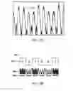 Fig. 03 - Method and apparatus for the zonal transmission of data using building lighting fixtures