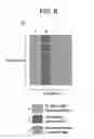 Fig. 07 - Gamma sterilizable RFID system that prevents unauthorized operation of associated disposable bioprocess components