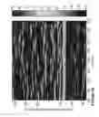 Fig. 18 - Computationally efficent radar processing method and sytem for SAR and GMTI on a slow moving platform