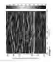 Fig. 19 - Computationally efficent radar processing method and sytem for SAR and GMTI on a slow moving platform