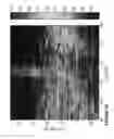 Fig. 32 - Computationally efficent radar processing method and sytem for SAR and GMTI on a slow moving platform