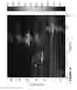 Fig. 37 - Computationally efficent radar processing method and sytem for SAR and GMTI on a slow moving platform