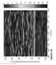 Fig. 50 - Computationally efficent radar processing method and sytem for SAR and GMTI on a slow moving platform