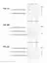 Fig. 09 - SELECTION DETERMINING DEVICE, SELECTION DETERMINING METHOD, INFORMATION RECORDING MEDIUM, AND PROGRAM