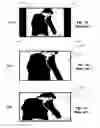 Fig. 02 - Method and system for preparing video communication images for wide screen display