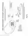 Fig. 62 - FLUIDIC OPTICAL DEVICES