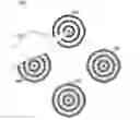 Fig. 01 - Contrast sensitivity testing and/or training using circular contrast zones