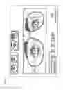 Fig. 16 - METHOD AND APPARATUS OF MEASURING OPTICAL PARAMETERS OF A PERSON USING A LIGHT FIELD